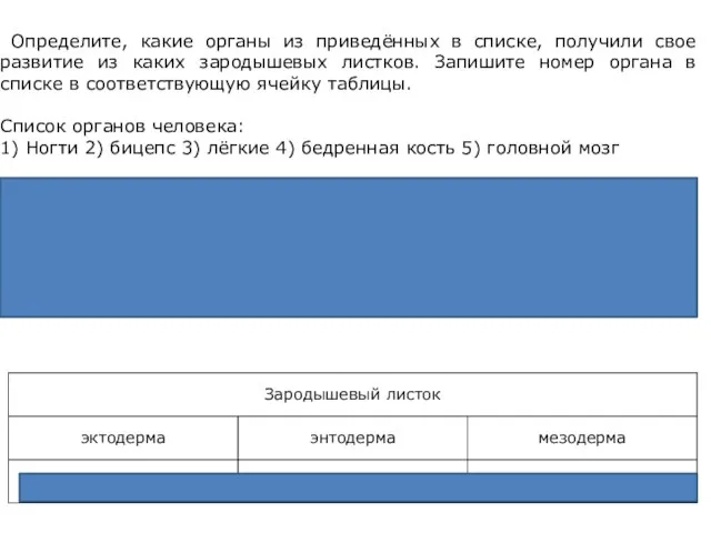 Определите, какие органы из приведённых в списке, получили свое развитие из