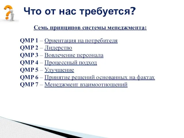 Что от нас требуется? Семь принципов системы менеджмента: QMP 1 –