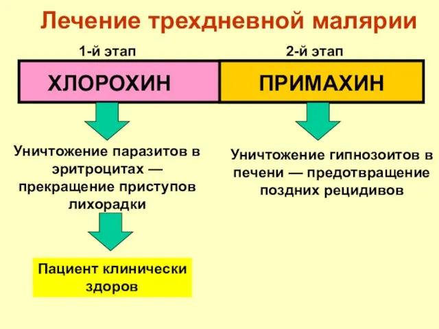 Лечение трехдневной малярии ХЛОРОХИН ПРИМАХИН 1-й этап 2-й этап Уничтожение паразитов