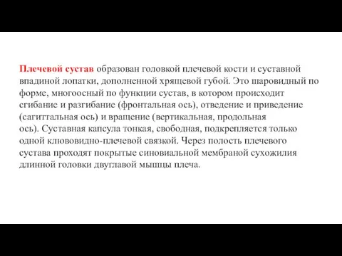 Плечевой сустав образован головкой плечевой кости и суставной впадиной лопатки, дополненной