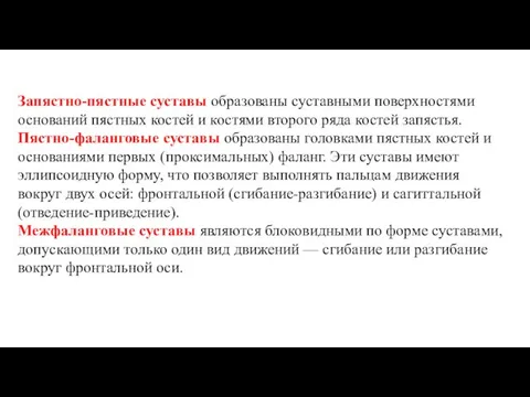 Запястно-пястные суставы образованы суставными поверхностями оснований пястных костей и костями второго