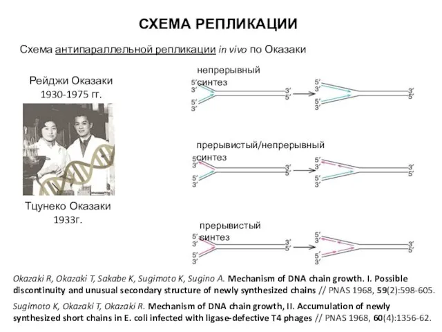 СХЕМА РЕПЛИКАЦИИ Схема антипараллельной репликации in vivo по Оказаки Okazaki R,