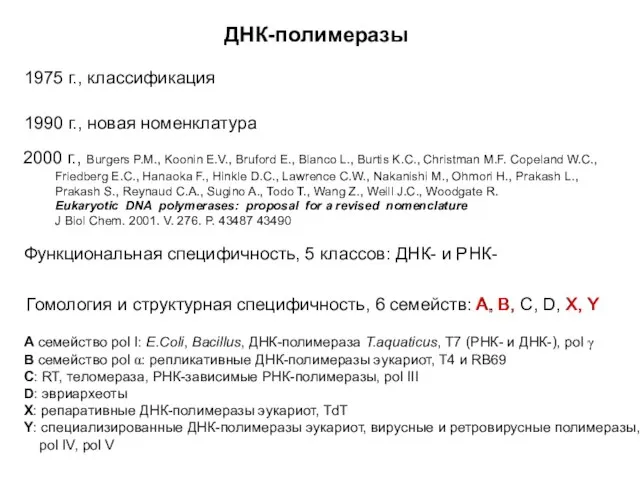 ДНК-полимеразы 1975 г., классификация 1990 г., новая номенклатура 2000 г., Burgers