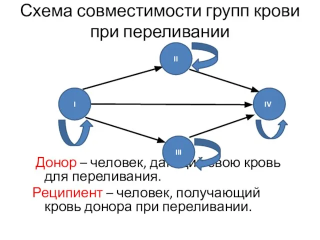 Схема совместимости групп крови при переливании Донор – человек, дающий свою