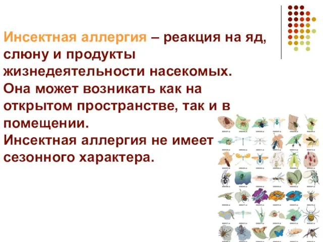 Инсектная аллергия – реакция на яд, слюну и продукты жизнедеятельности насекомых.