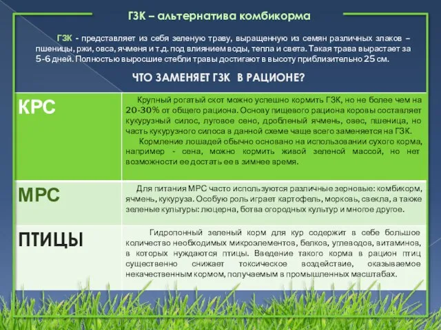 ГЗК – альтернатива комбикорма ГЗК - представляет из себя зеленую траву,