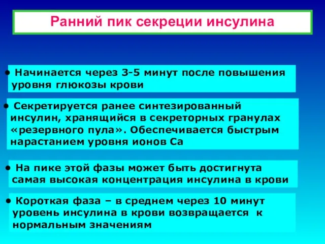 Ранний пик секреции инсулина Начинается через 3-5 минут после повышения уровня