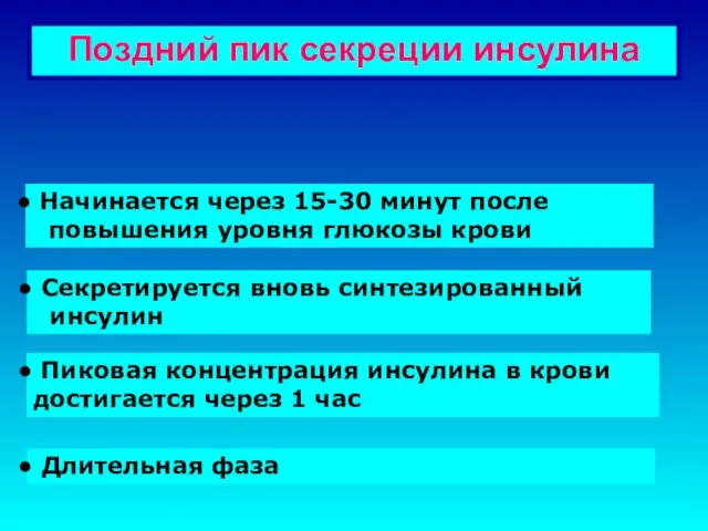 Поздний пик секреции инсулина Начинается через 15-30 минут после повышения уровня