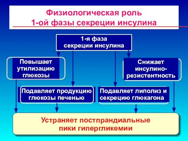 Физиологическая роль 1-ой фазы секреции инсулина 1-я фаза секреции инсулина Подавляет