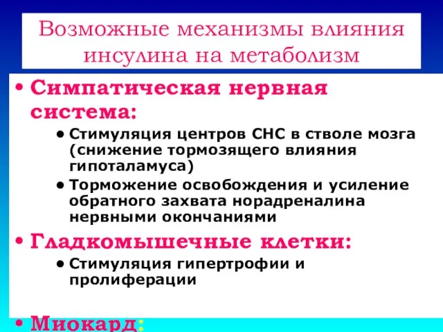 Возможные механизмы влияния инсулина на метаболизм Симпатическая нервная система: Стимуляция центров