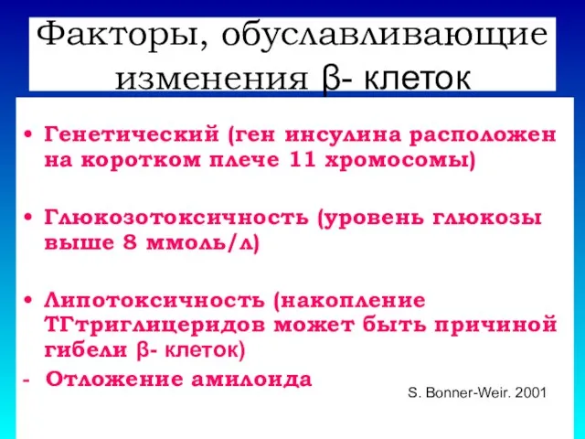 Факторы, обуславливающие изменения β- клеток Генетический (ген инсулина расположен на коротком