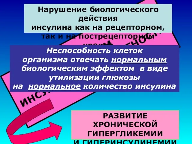 РАЗВИТИЕ ХРОНИЧЕСКОЙ ГИПЕРГЛИКЕМИИ И ГИПЕРИНСУЛИНЕМИИ СИНДРОМ ИНСУЛИНОРЕЗИСТЕНТНОСТИ Нарушение биологического действия инсулина