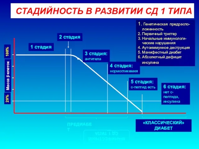 СТАДИЙНОСТЬ В РАЗВИТИИ СД 1 ТИПА 1. Генетическая предраспо- ложенность 2.