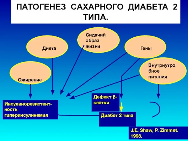 ПАТОГЕНЕЗ САХАРНОГО ДИАБЕТА 2 ТИПА. Ожирение Диета Сидячий образ жизни Гены