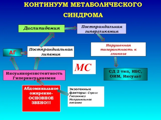 Экзогенные факторы: Стресс Гипокинез Неправильное питание Абдоминальное ожирение- ОСНОВНОЕ ЗВЕНО!!! АГ