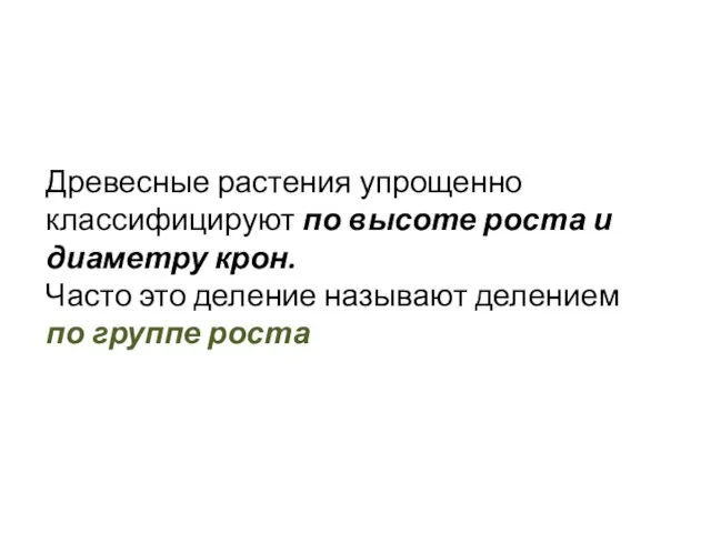 Древесные растения упрощенно классифицируют по высоте роста и диаметру крон. Часто