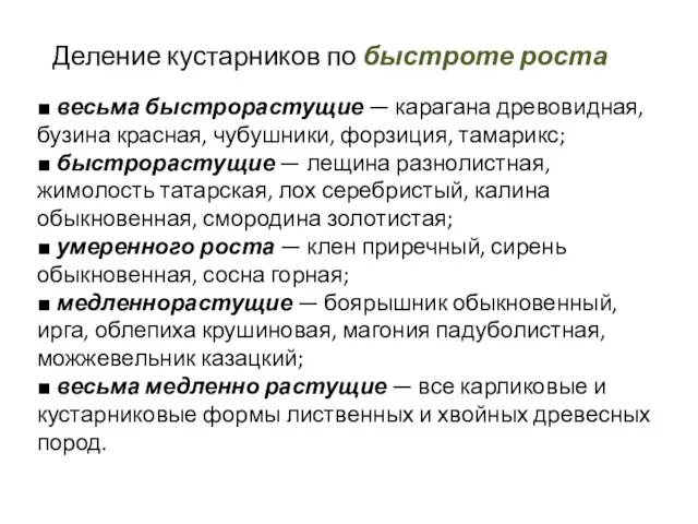 Деление кустарников по быстроте роста ■ весьма быстрорастущие — карагана древовидная,