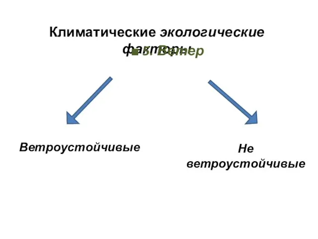 Климатические экологические факторы ■ 5. Ветер Ветроустойчивые Не ветроустойчивые