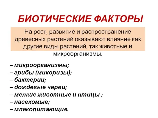 На рост, развитие и распространение древесных растений оказывают влияние как другие