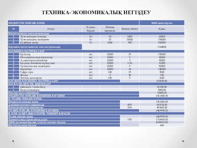 ТЕХНИКА-ЭКОНОМИКАЛЫҚ НЕГІЗДЕУ