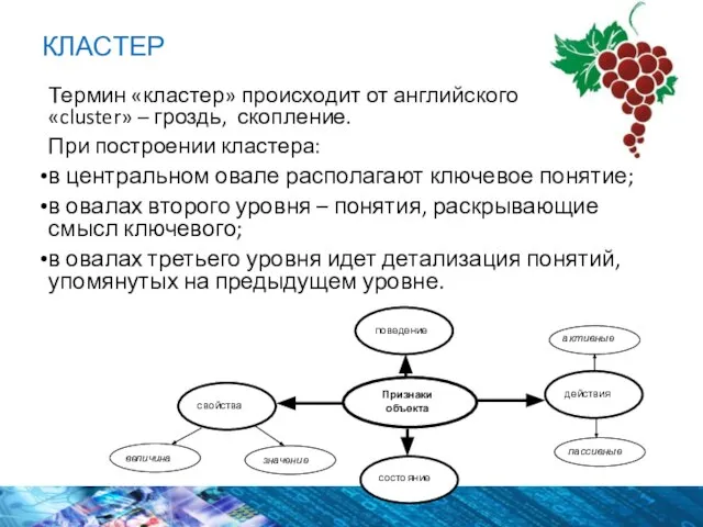 КЛАСТЕР Термин «кластер» происходит от английского «cluster» – гроздь, скопление. При