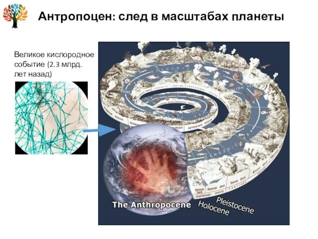 Антропоцен: след в масштабах планеты Великое кислородное событие (2.3 млрд. лет назад)