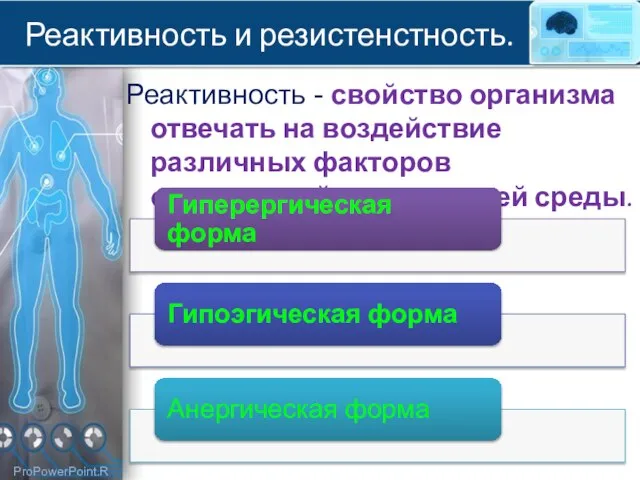 Реактивность и резистенстность. Реактивность - свойство организма отвечать на воздействие различных факторов окружающей и внутренней среды.