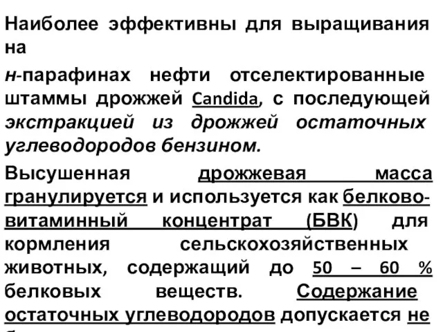 Наиболее эффективны для выращивания на н-парафинах нефти отселектированные штаммы дрожжей Candida,