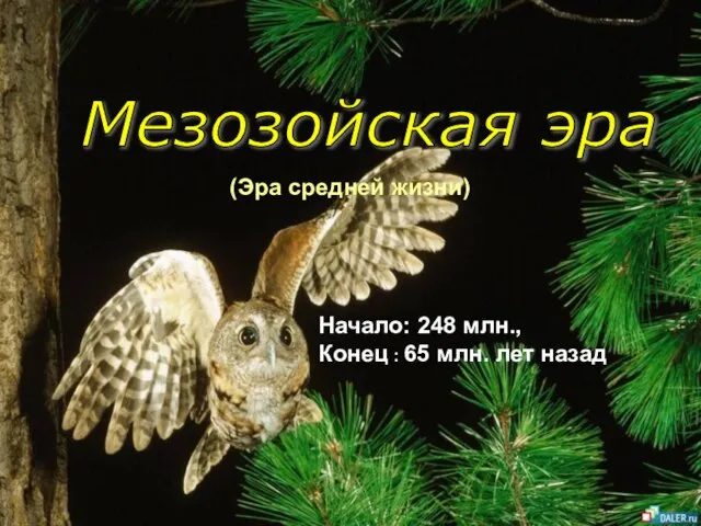 Мезозойская эра (Эра средней жизни) Начало: 248 млн., Конец : 65 млн. лет назад