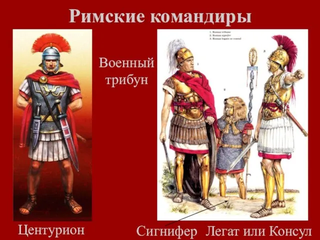 Римские командиры Центурион Военный трибун Сигнифер Легат или Консул
