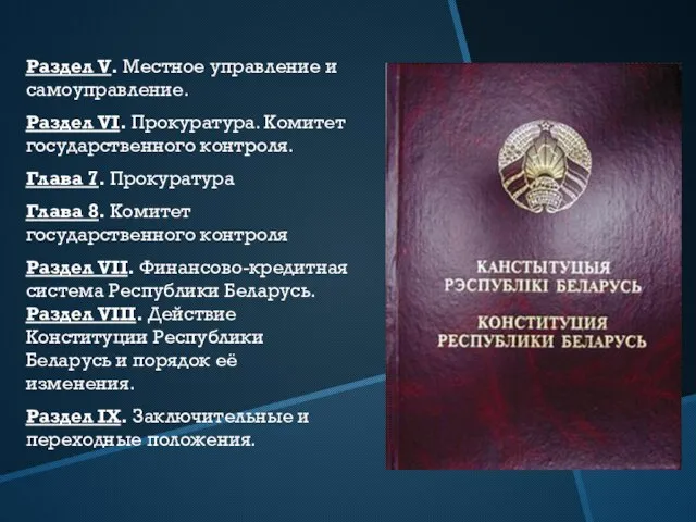 Раздел V. Местное управление и самоуправление. Раздел VI. Прокуратура. Комитет государственного