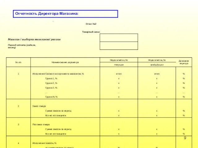 Отчетность Директора Магазина: