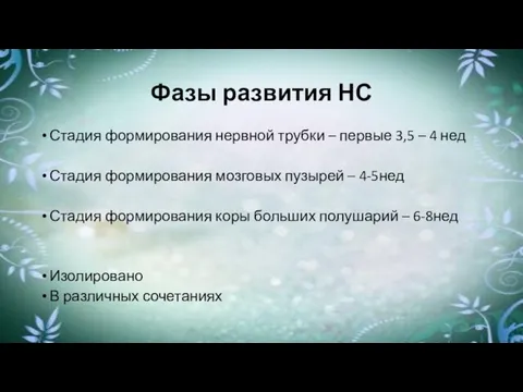 Фазы развития НС Стадия формирования нервной трубки – первые 3,5 –