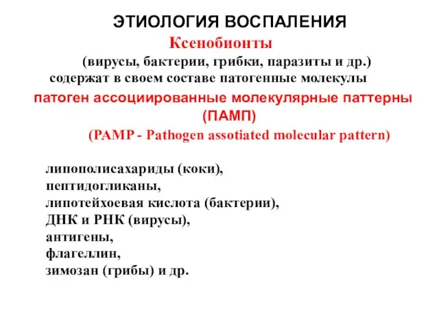 ЭТИОЛОГИЯ ВОСПАЛЕНИЯ Ксенобионты (вирусы, бактерии, грибки, паразиты и др.) содержат в