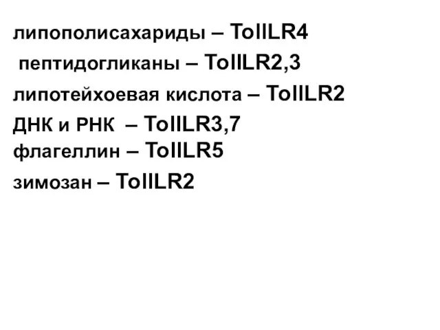 липополисахариды – TollLR4 пептидогликаны – TollLR2,3 липотейхоевая кислота – TollLR2 ДНК