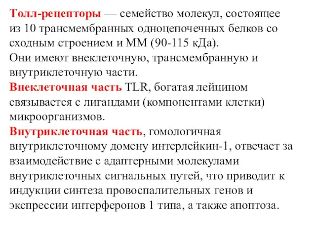 Tолл-рецепторы — семейство молекул, состоящее из 10 трансмембранных одноцепочечных белков со