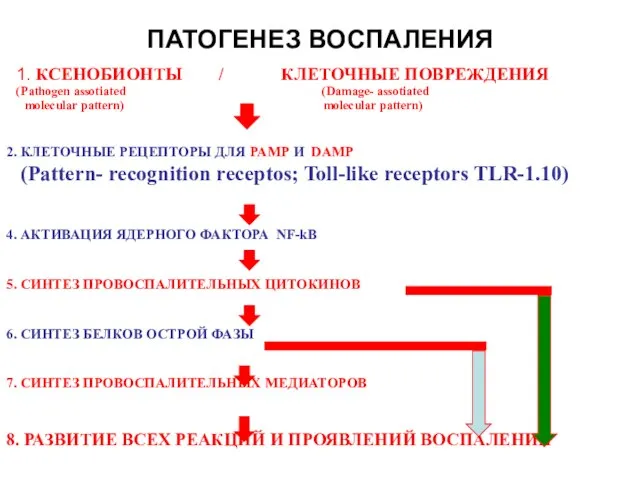 ПАТОГЕНЕЗ ВОСПАЛЕНИЯ 1. КСЕНОБИОНТЫ / КЛЕТОЧНЫЕ ПОВРЕЖДЕНИЯ (Pathogen assotiated (Damage- assotiated