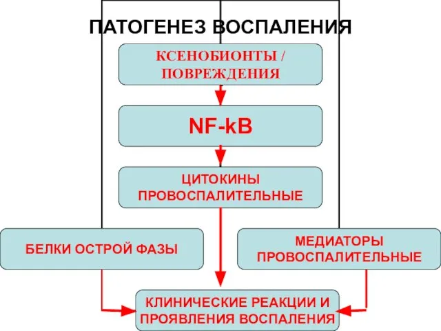 ПАТОГЕНЕЗ ВОСПАЛЕНИЯ