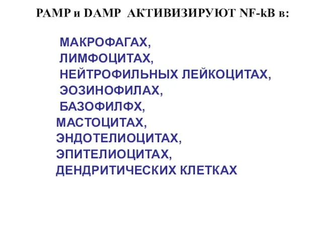 PAMP и DAMP АКТИВИЗИРУЮТ NF-kB в: МАКРОФАГАХ, ЛИМФОЦИТАХ, НЕЙТРОФИЛЬНЫХ ЛЕЙКОЦИТАХ, ЭОЗИНОФИЛАХ,