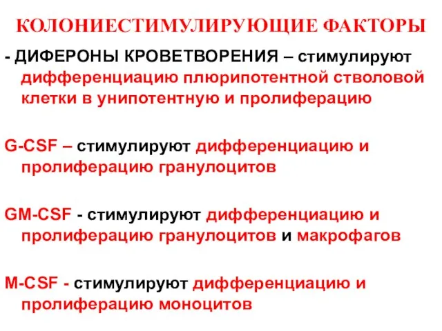 КОЛОНИЕСТИМУЛИРУЮЩИЕ ФАКТОРЫ - ДИФЕРОНЫ КРОВЕТВОРЕНИЯ – стимулируют дифференциацию плюрипотентной стволовой клетки