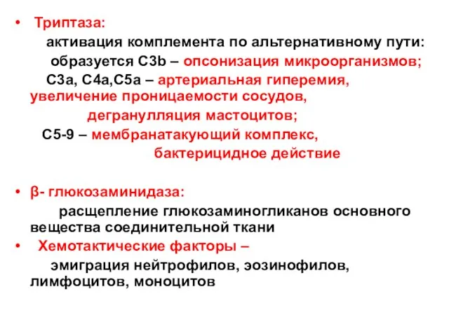 Триптаза: активация комплемента по альтернативному пути: образуется C3b – опсонизация микроорганизмов;