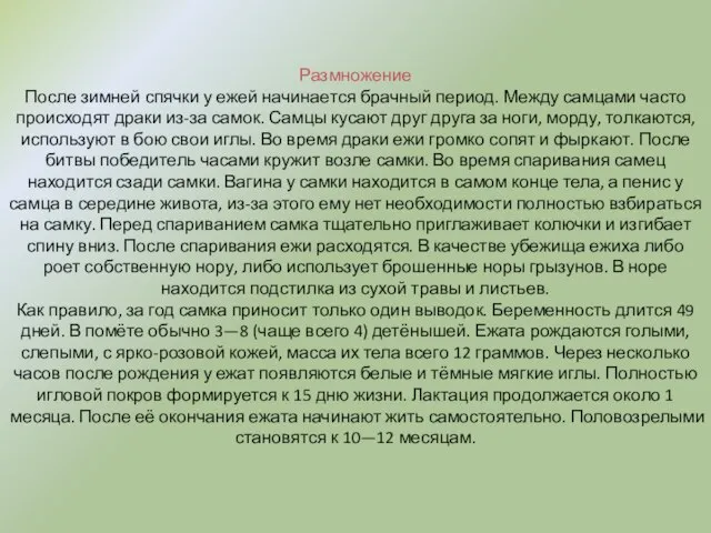 Размножение После зимней спячки у ежей начинается брачный период. Между самцами