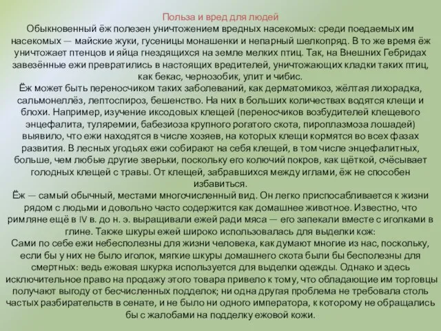 Польза и вред для людей Обыкновенный ёж полезен уничтожением вредных насекомых: