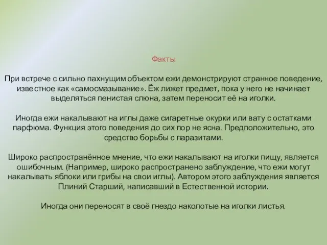 Факты При встрече с сильно пахнущим объектом ежи демонстрируют странное поведение,