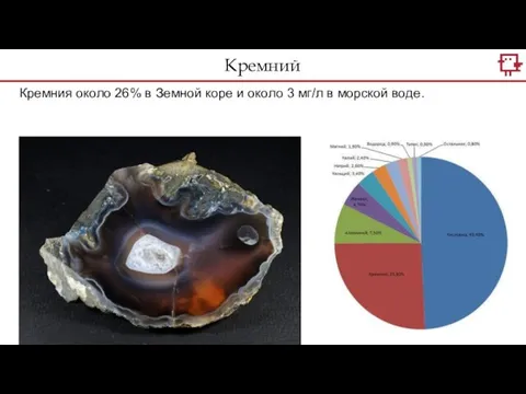 Кремний Кремния около 26% в Земной коре и около 3 мг/л в морской воде.