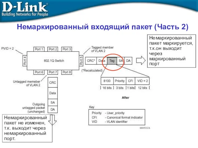 Немаркированный входящий пакет (Часть 2)‏ Немаркированный пакет маркируется, т.к.он выходит через