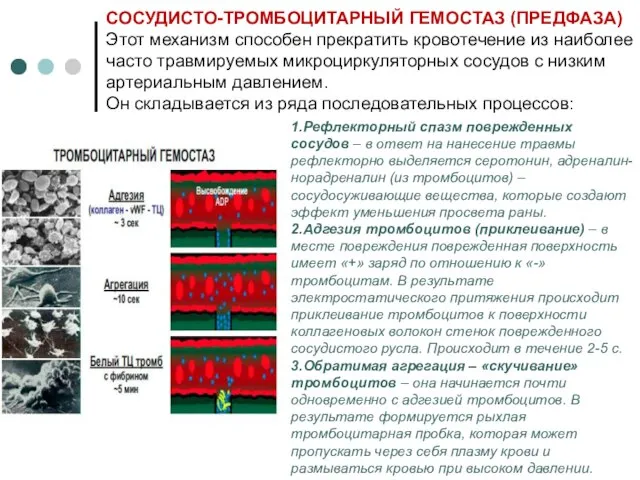 СОСУДИСТО-ТРОМБОЦИТАРНЫЙ ГЕМОСТАЗ (ПРЕДФАЗА) Этот механизм способен прекратить кровотечение из наиболее часто