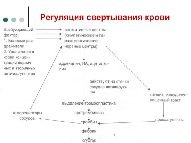 Регуляция свертывания крови