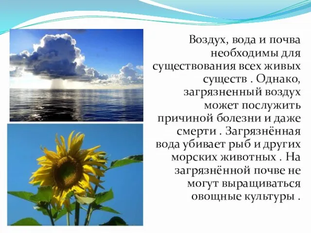 Воздух, вода и почва необходимы для существования всех живых существ .