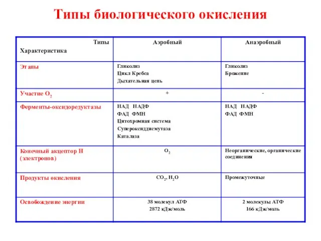 Типы биологического окисления